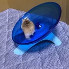 The atomic dwarf