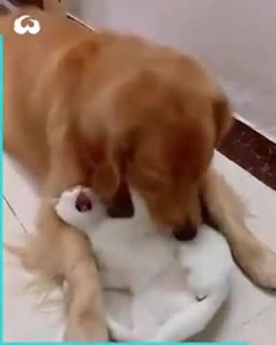 One of the cutest friendships I've seen! ??