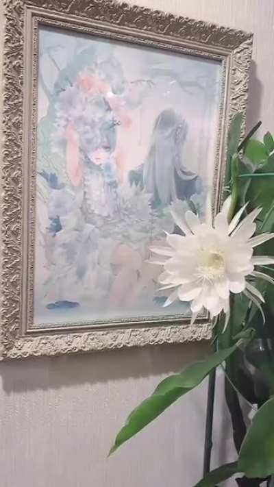 This flower is called "Queen of the Night." It blossoms only at night and only one night a year.