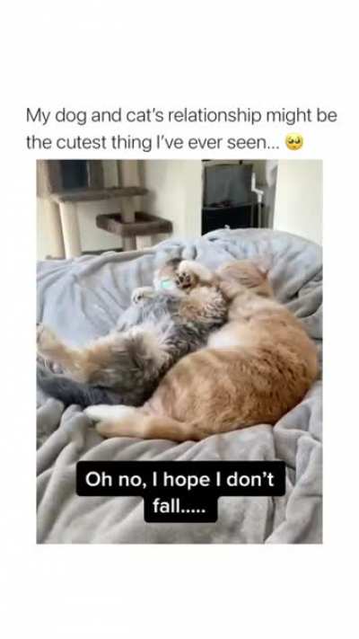 this is so cute