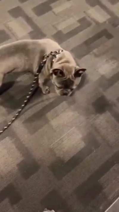 He was waiting for this moment his whole life
