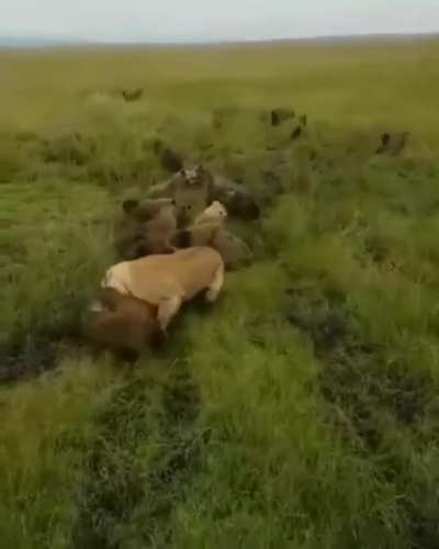 The calvary showing up just in time.