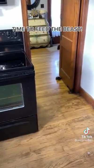 Time to feed the beast