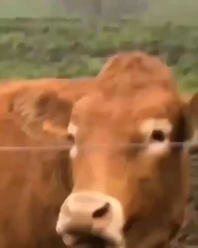 A connection has been made