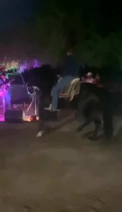 Dancing horsie