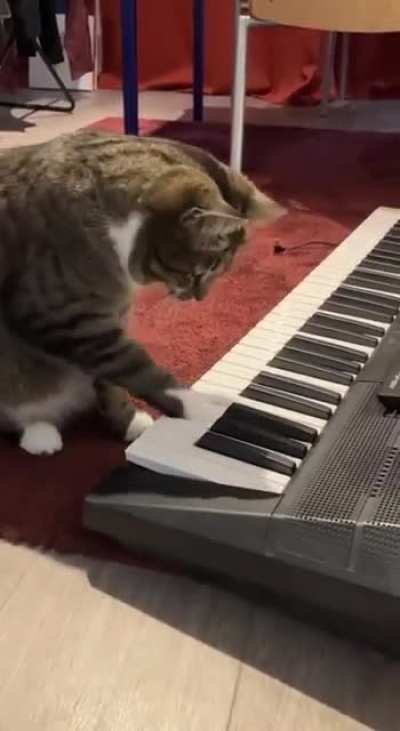 Should we put him in music preschool? ?