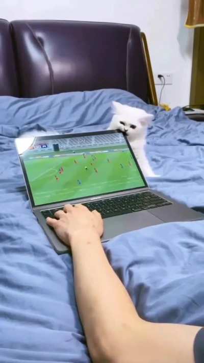 To taste the screen