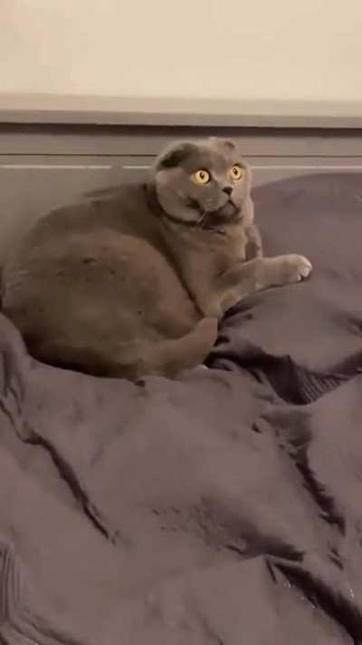 Maybe maybe maybe