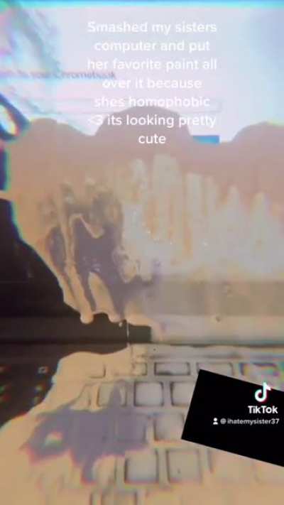 Ruining your sisters computer that your parents paid for is pretty cringe