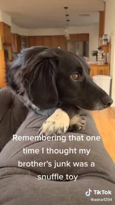 Why can't I forget