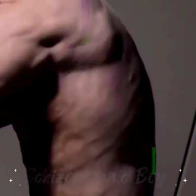 Mr. Olympia ?