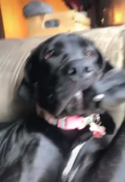 "Stock market is pretty ruff right now”