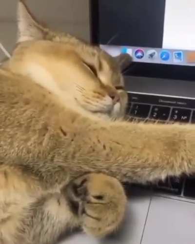 Man you need to stop working for a sec