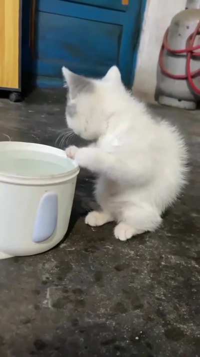 First time discovering water is wet