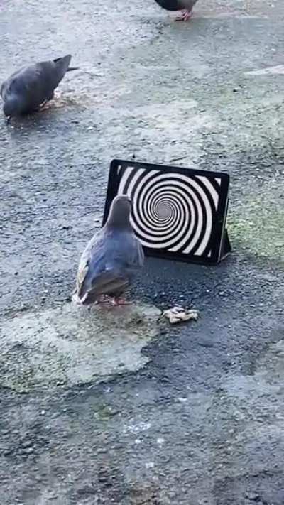 ?