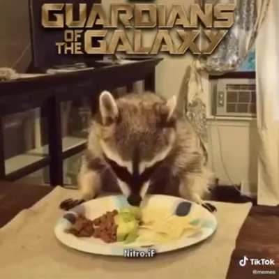Rocket gets his tacos