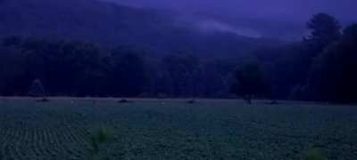 Fireflies lighting up a rural Pennsylvania field