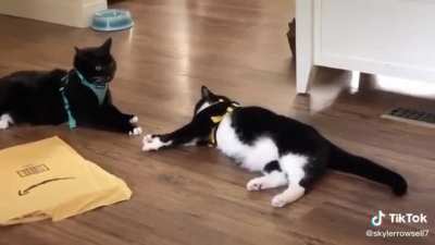 ?