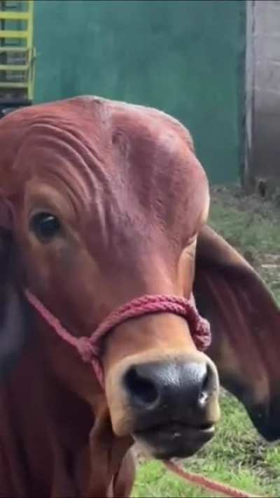 ?