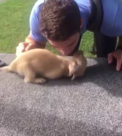 Puppy gets so excited Dad is coming home from work ? So precious!!