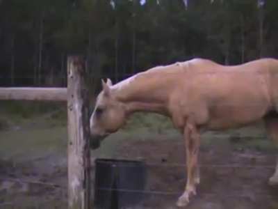 he needs some milk