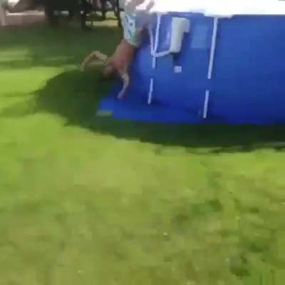 HMB as i jump off to roof, land on a trampoline, and dive into a pool.