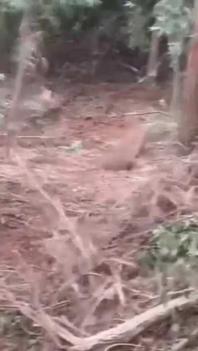 I must go, my people need me!