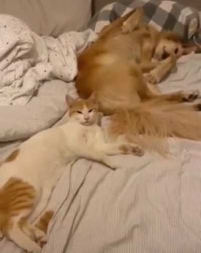 How did I wake up? ?