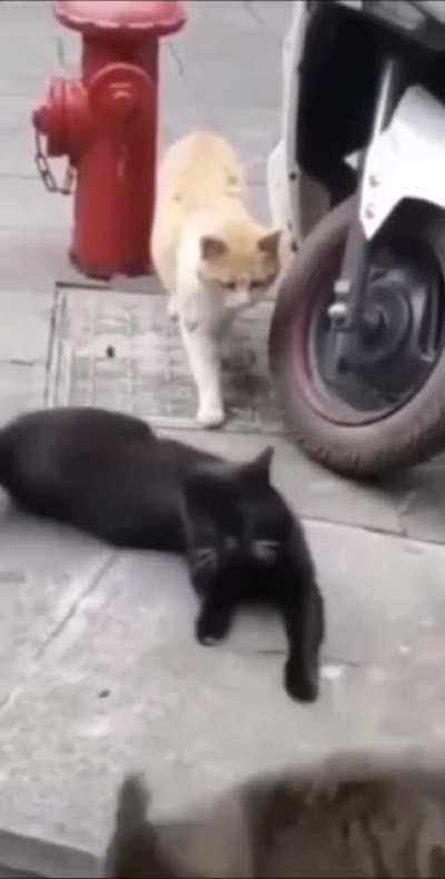 Busted!