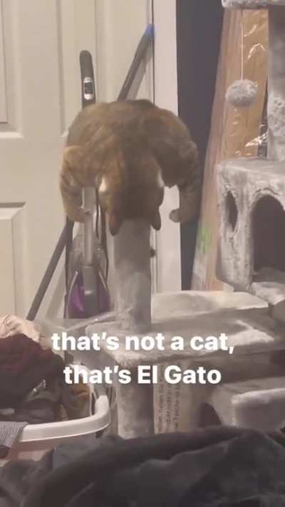 ??