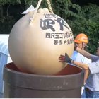 This 420 kg/925 lb firework is the ‘Yonshakudama’ the worlds largest single firework costs ~$1,500. It creates a Firework in the sky 1/2 mile/825 m long