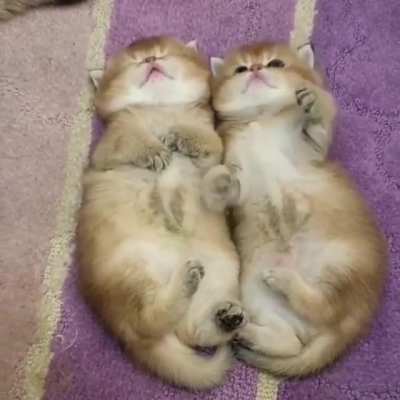 OMG!!!!