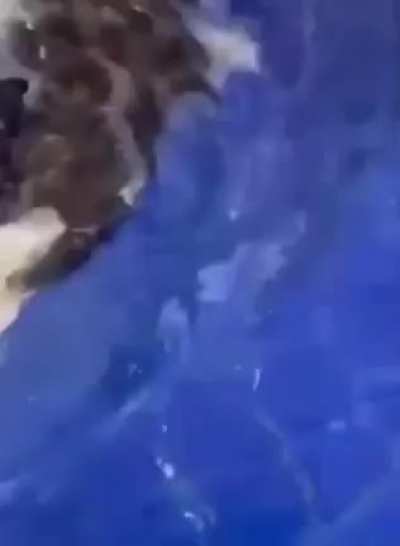 "Never getting in again..."