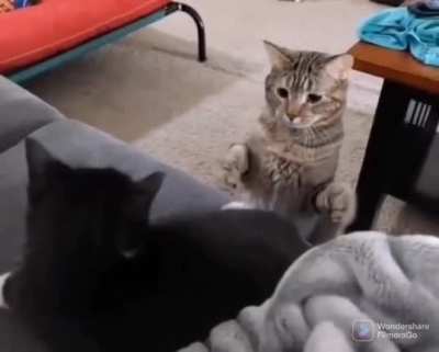 Instant REgret