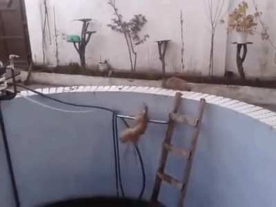 Instant Karma