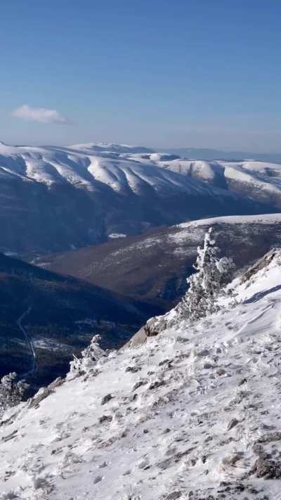 ? Sharing a mountain summit with a chamois, Italy ?