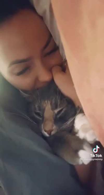 Cuddly Cat
