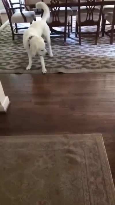 Witchcraft!