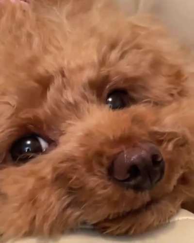 Our smiling girl ?