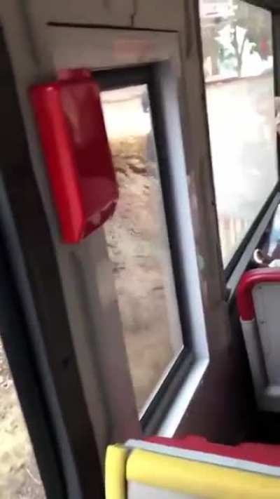 "Y'all want something from the store?"