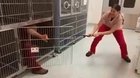 Veterinary Technician Training Video
