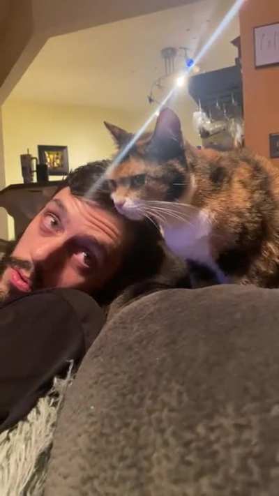 To make friends with a cat