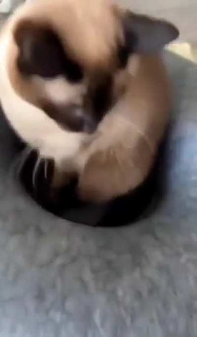 A wonderful surprise