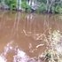 I went fishing and look at what happened