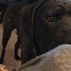 Miss Diva. Sound on.