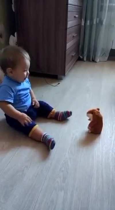 These Small humans are dumb