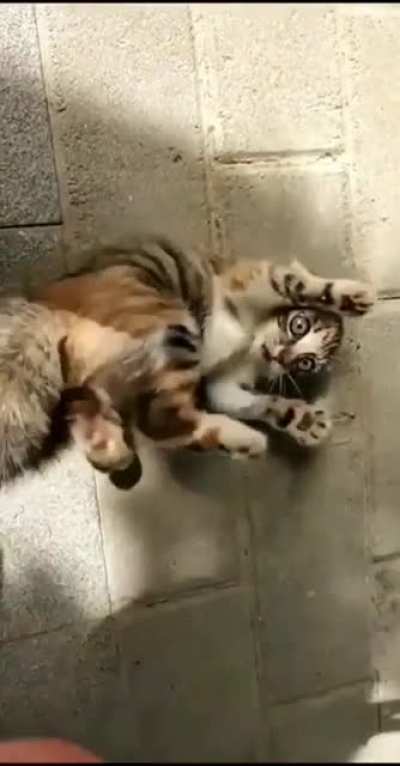 Cute little boy ?