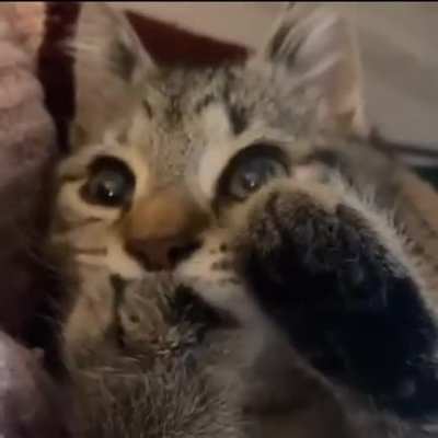 Morning wash ?