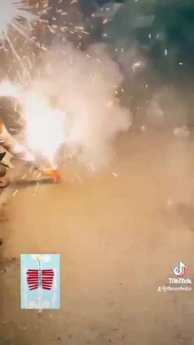 Dog Fireworker!!??