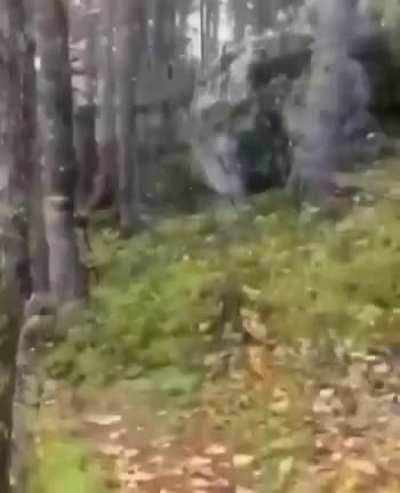? The earth breathes.A very unusual phenomenon from the Canadian forest.